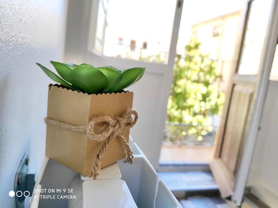 Varela Centro Granada Center Daire Dış mekan fotoğraf